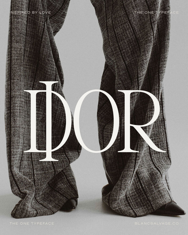 The-One-Serif-Update_Dior