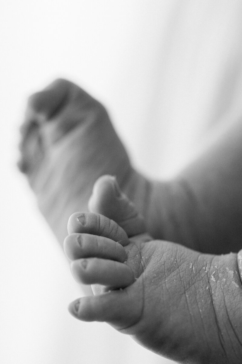 Miami Newborn Photographer