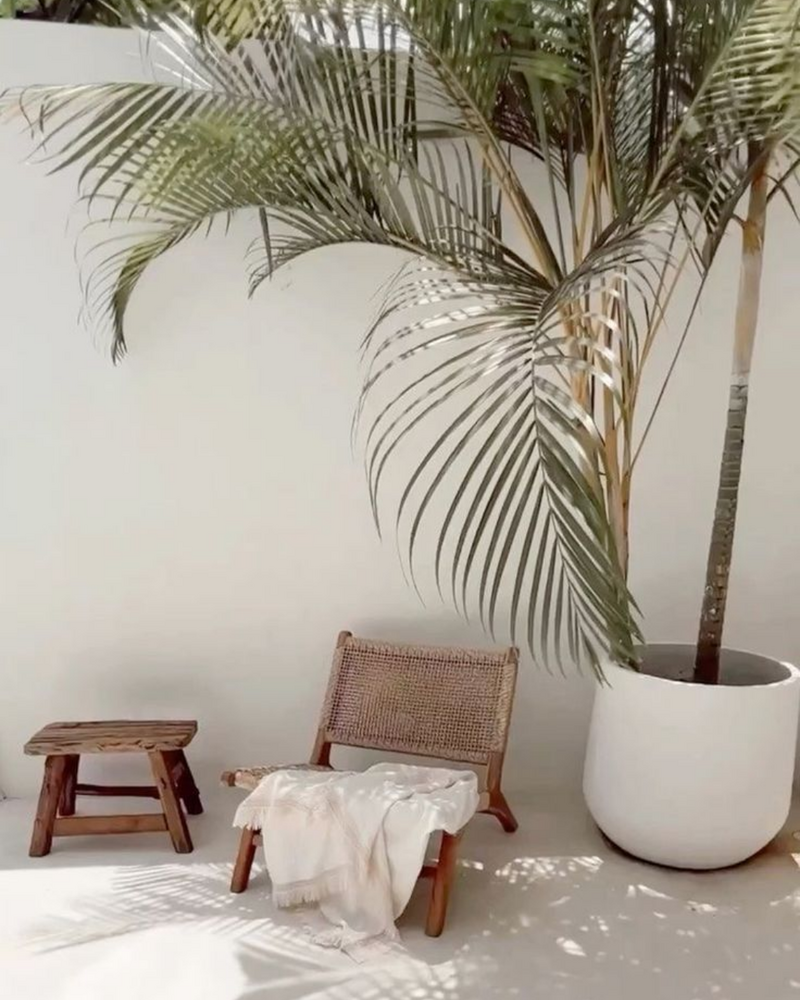 Rattan chair and linen throw under palm tree shadow beside a white wall in a minimalist outdoor nook