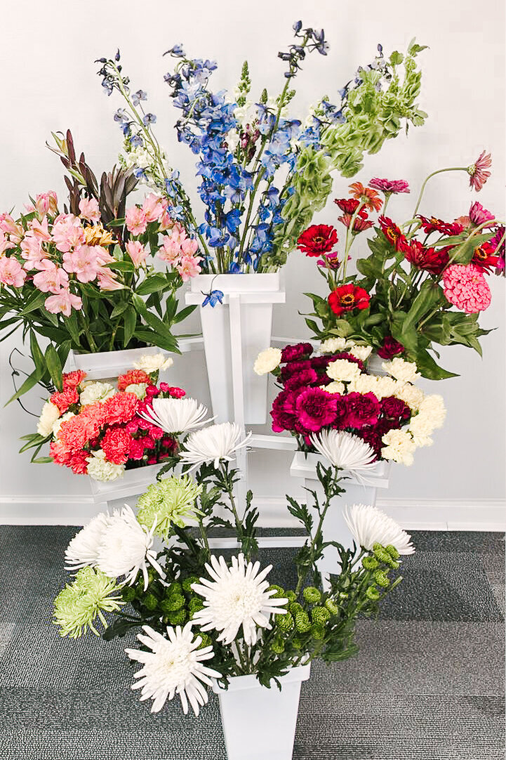 516744123_122117618888899158_5297076888884550017_n