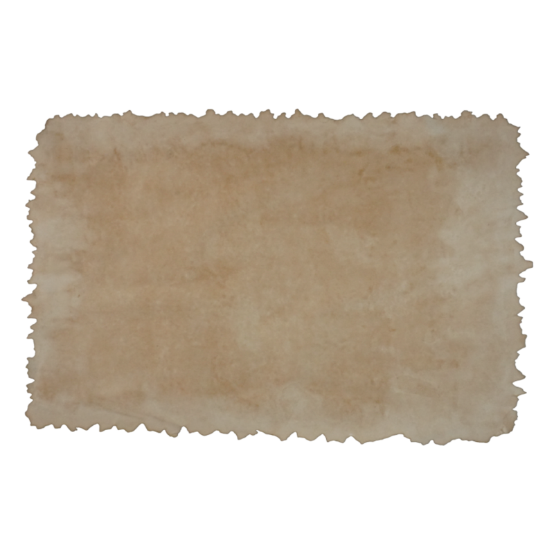 torn scrap paper 