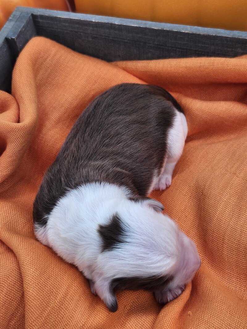 cf63b2a3-c1d7-4657-98e5-fca6f96365ce