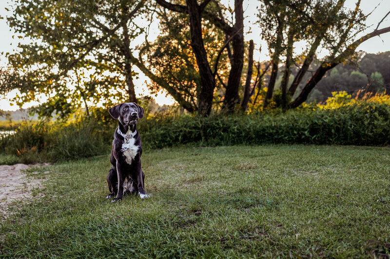 1C2A9455-Edit