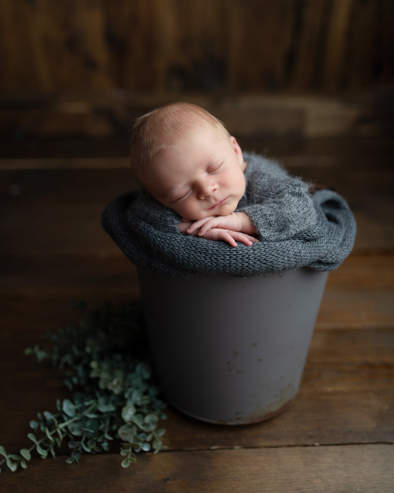 A newborn baby boy dressed in a grey knit sleeper, posed in a rustic bucket surrounded by soft greenery – timeless newborn photography in Paris, Ontario.