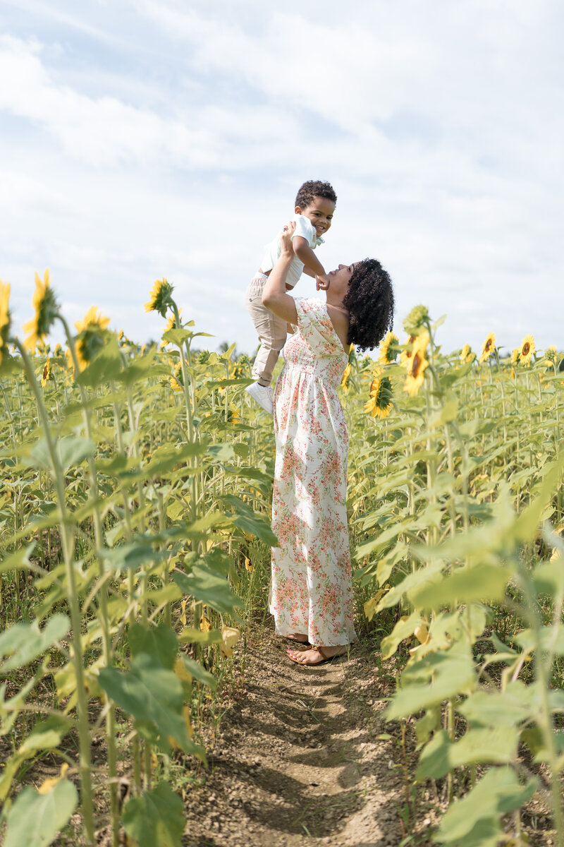 Shannon-Portfolio-Sunflowers-5