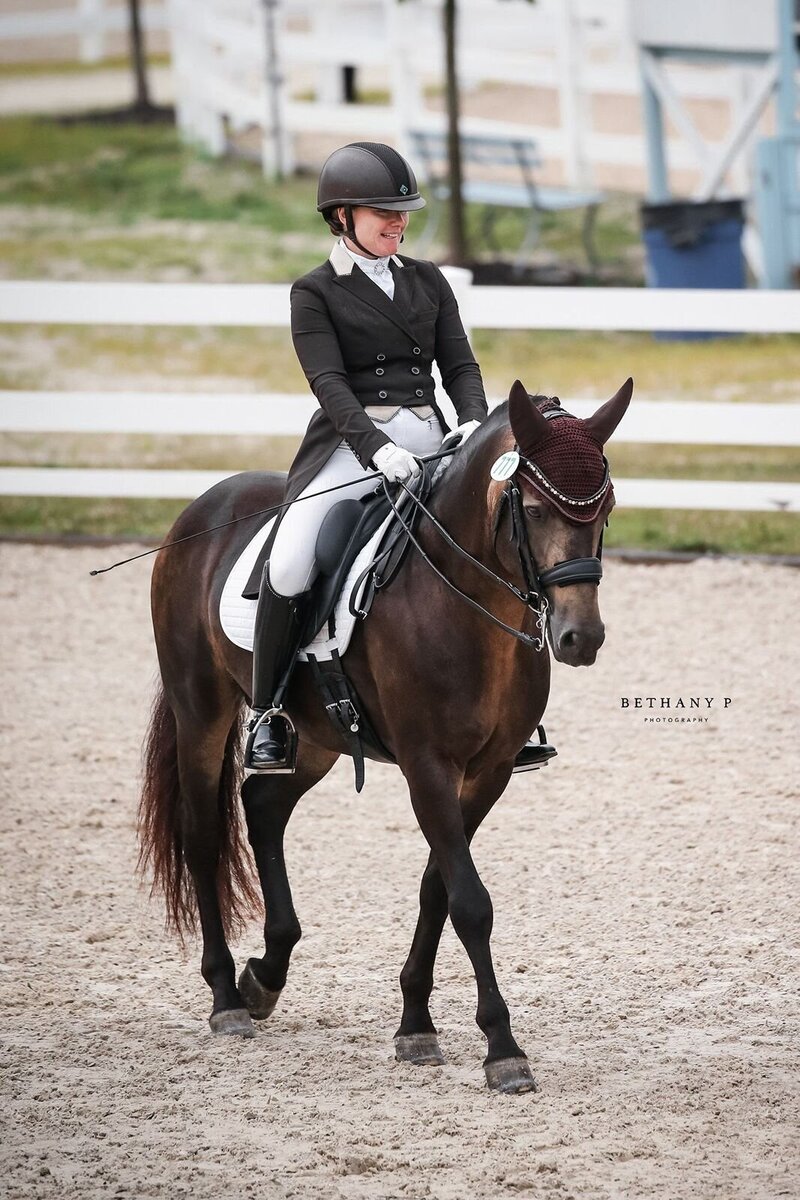 PA horse sales by JP Dressage