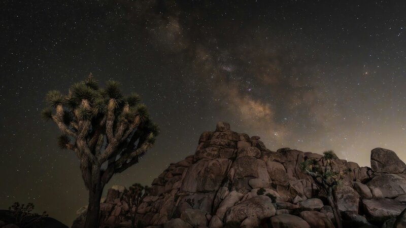 Desert Picture