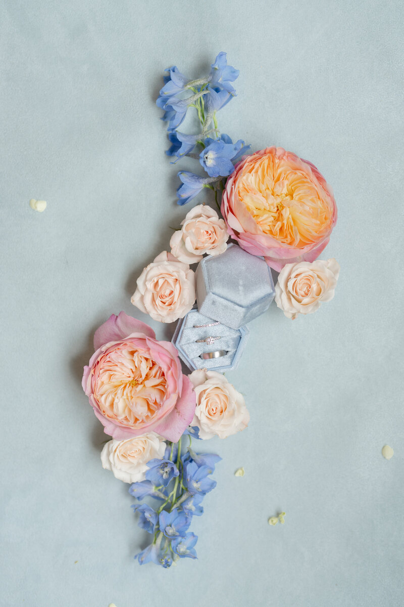 LindsayEileenPhotography-10 (1)