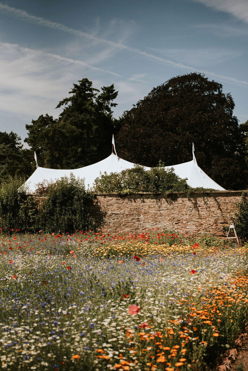Marquee at Broadfield Court