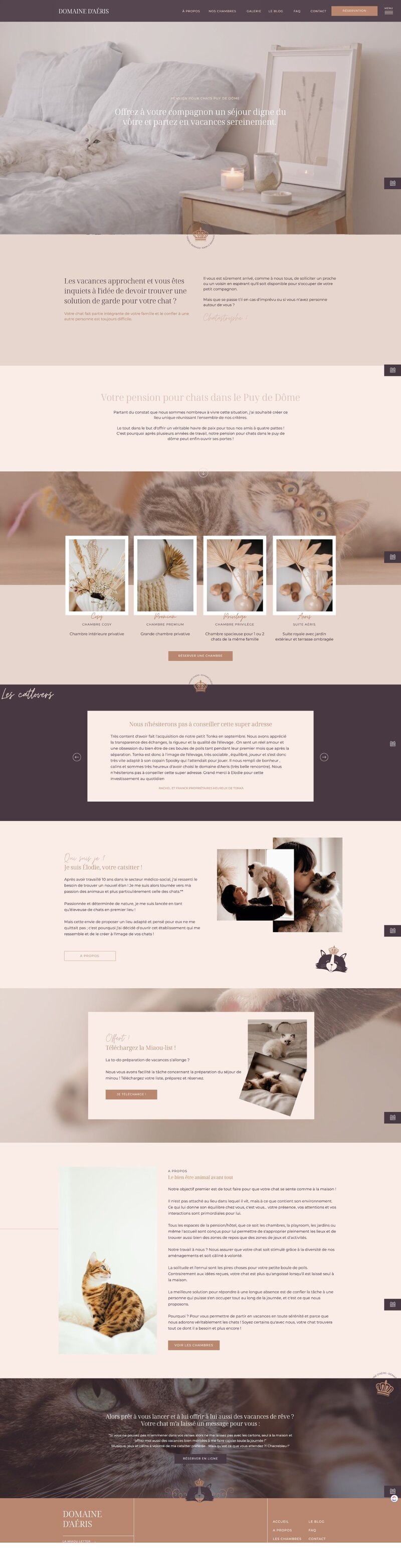Template showit pour entrepreneur