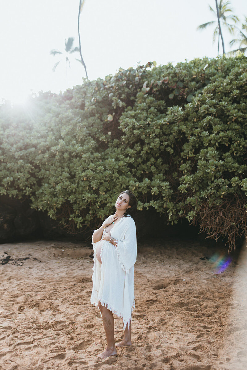 Nicole Brooke Photography Maui Maternity and Lifestyle Photographer13