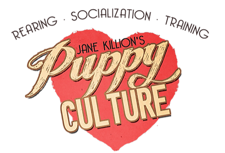 puppy-cult-Edited