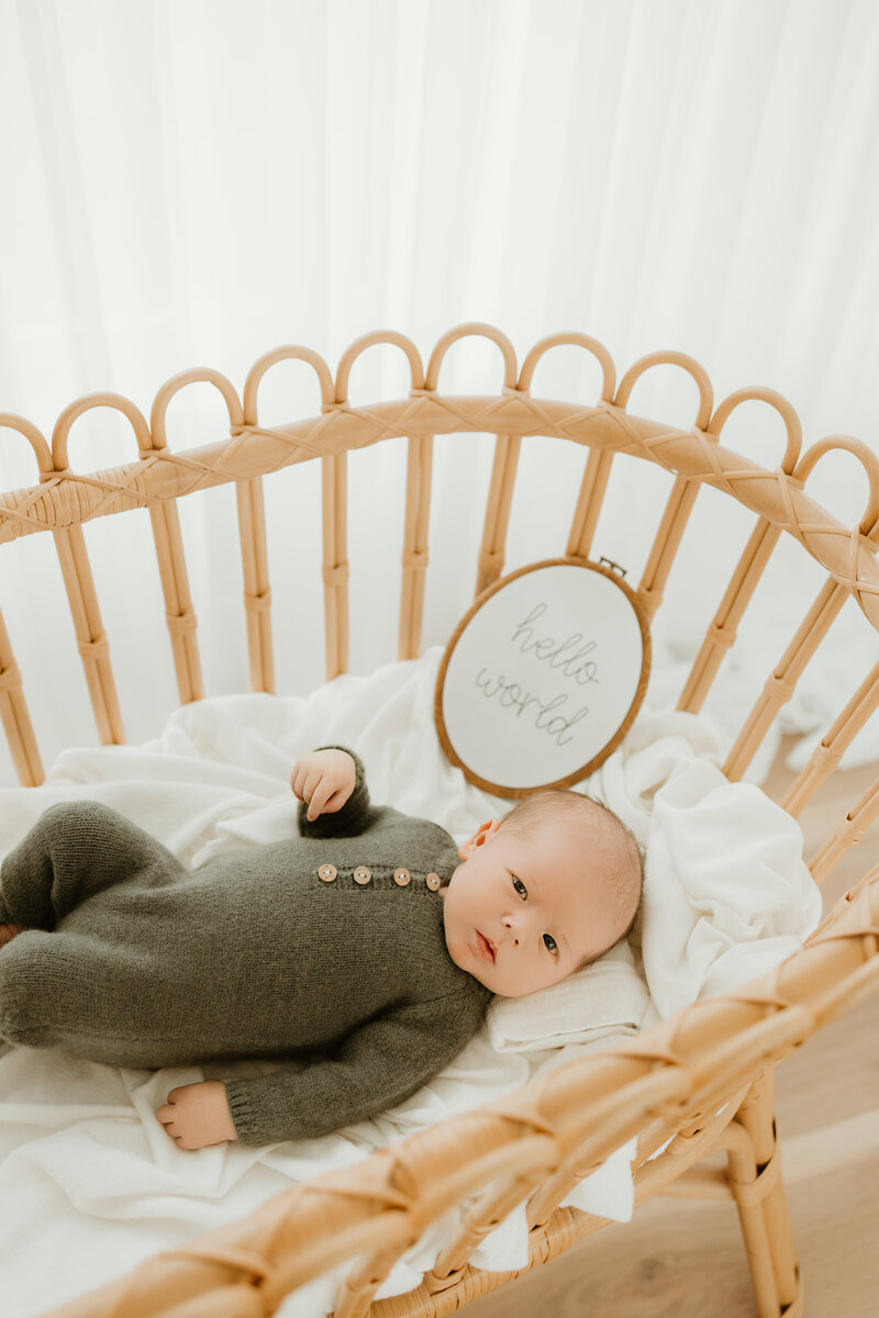 Graceville, Fl Newborn photographer Maria Jeffries