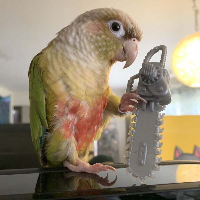 Zoey