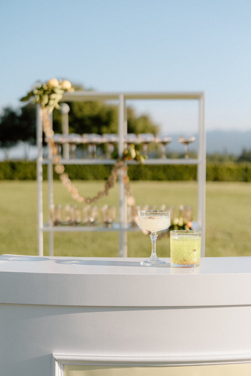 Katelyn Bradley Photography | Chatuea St Jean Napa Wedding143