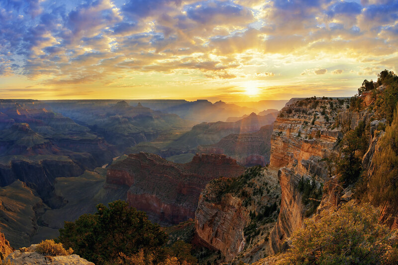Arizona Stock