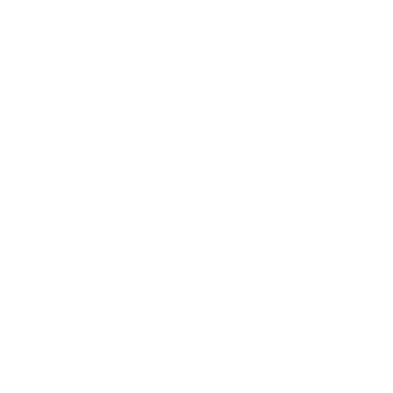 Analy Photo logo