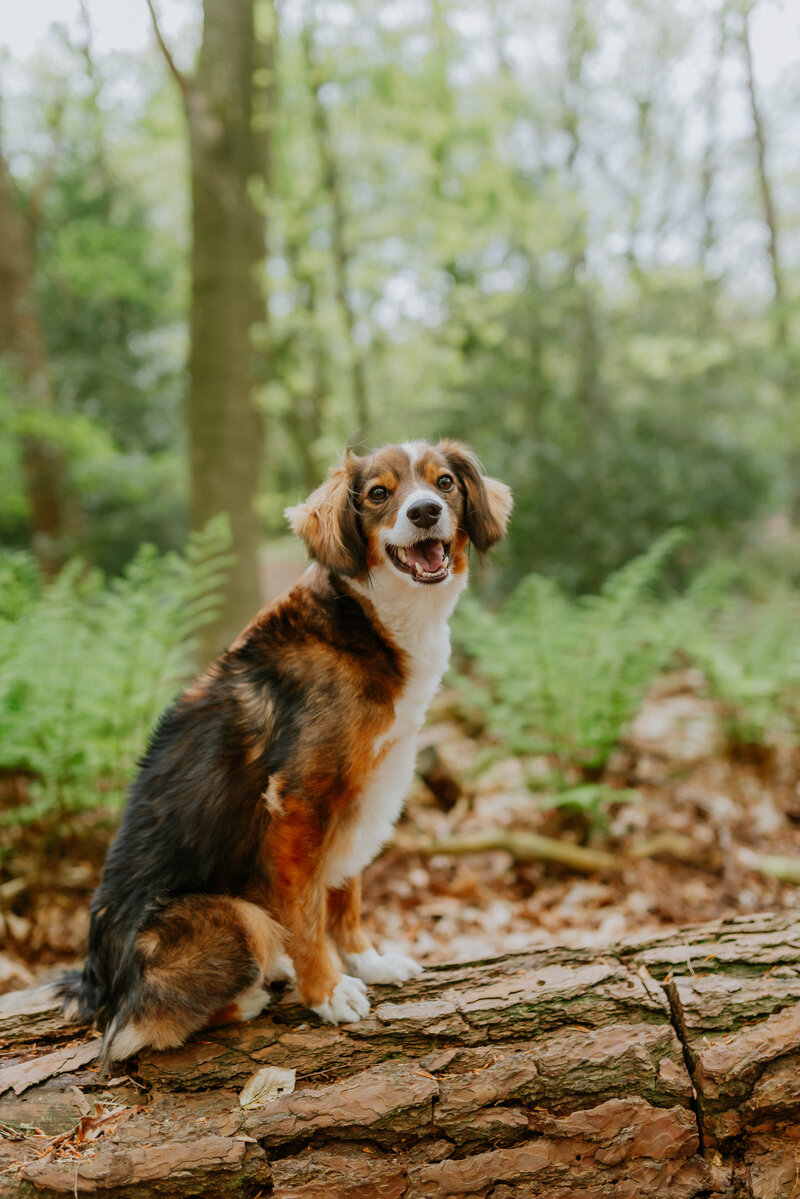 2024_familieshoot_kaar-88