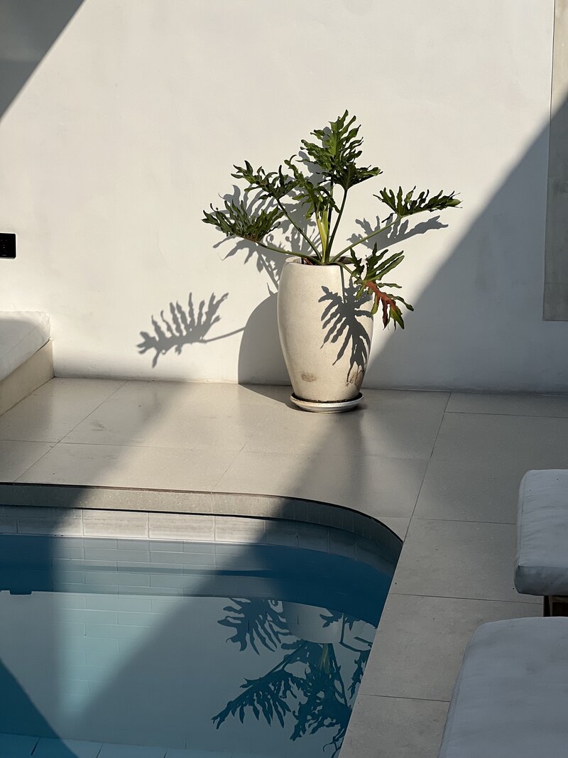 Weekend wellness retreat in Santa Monica, CA
