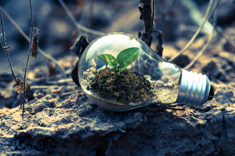 Growth in a lightbulb