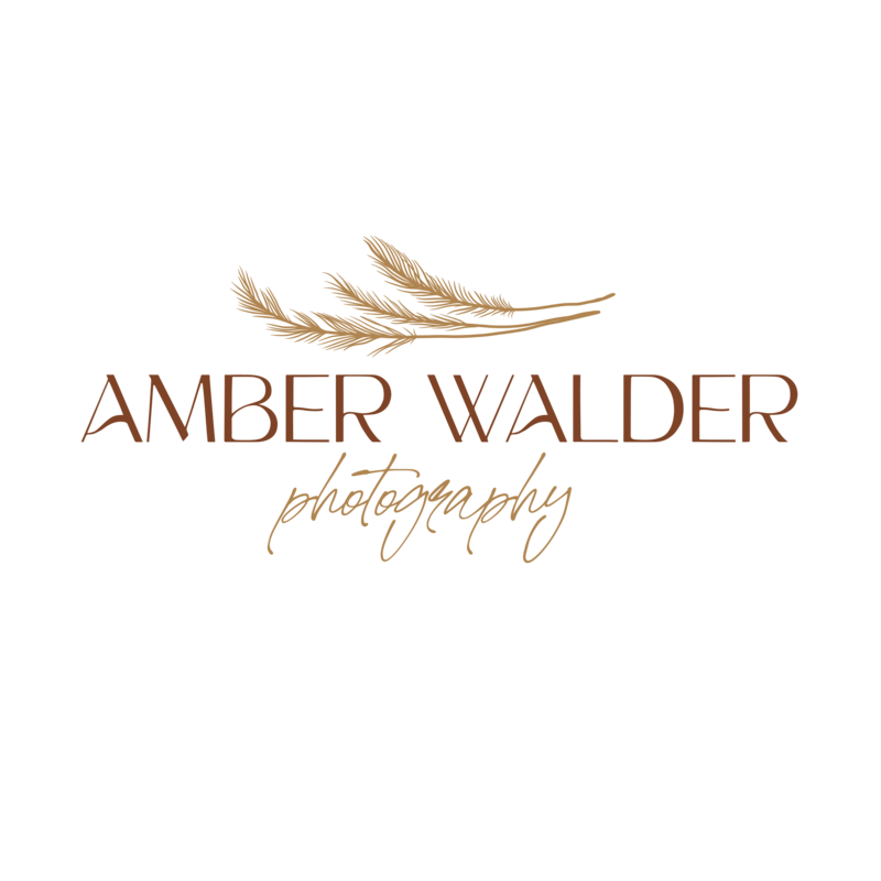 Amber Walder Secondary Logo 9 