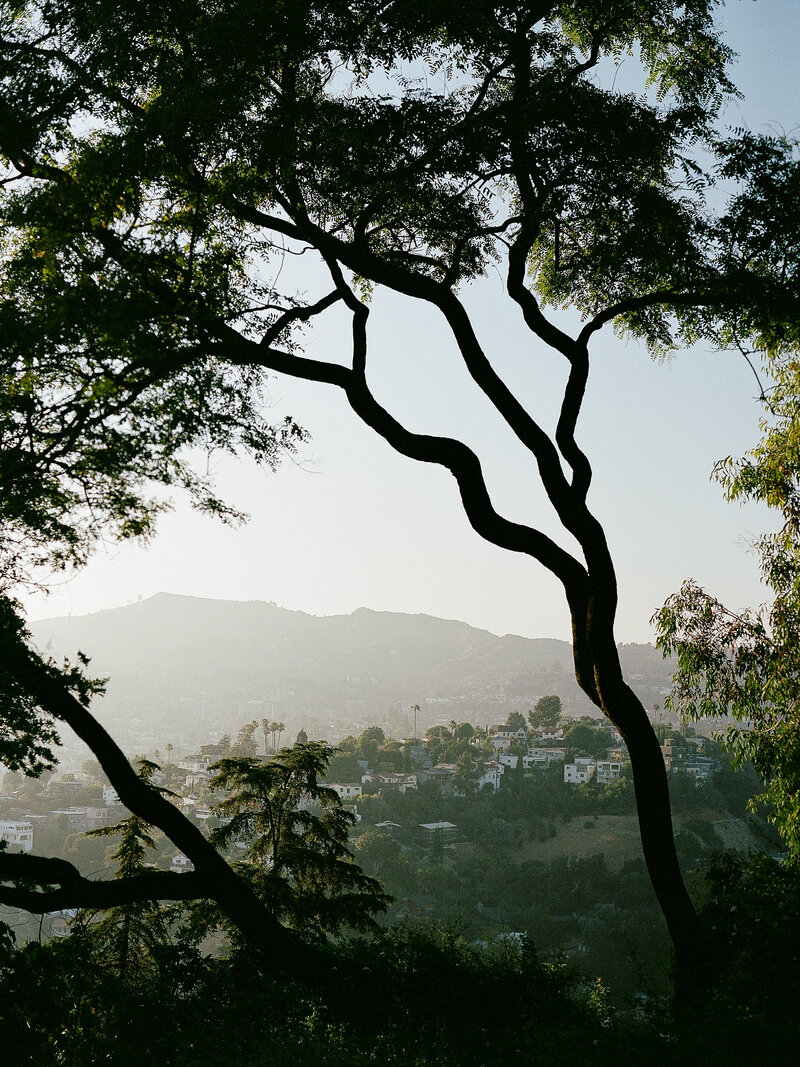 Brady Bates - The Paramour Estate-24