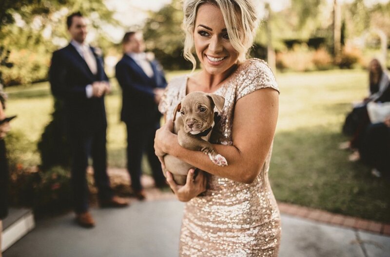 puppies_in_wedding_Florida