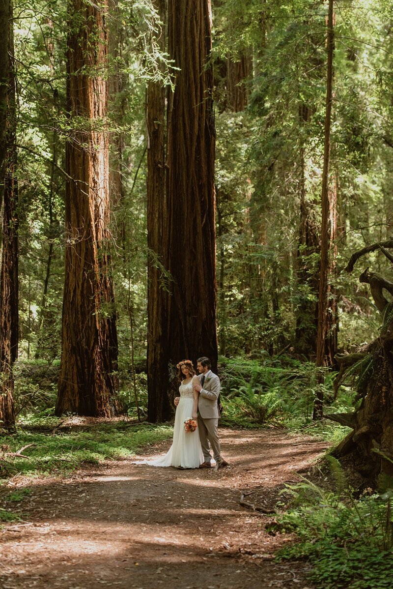 Newlyweds stand together under old-growth redwoods in Hendy Woods State Park during their redwood elopement