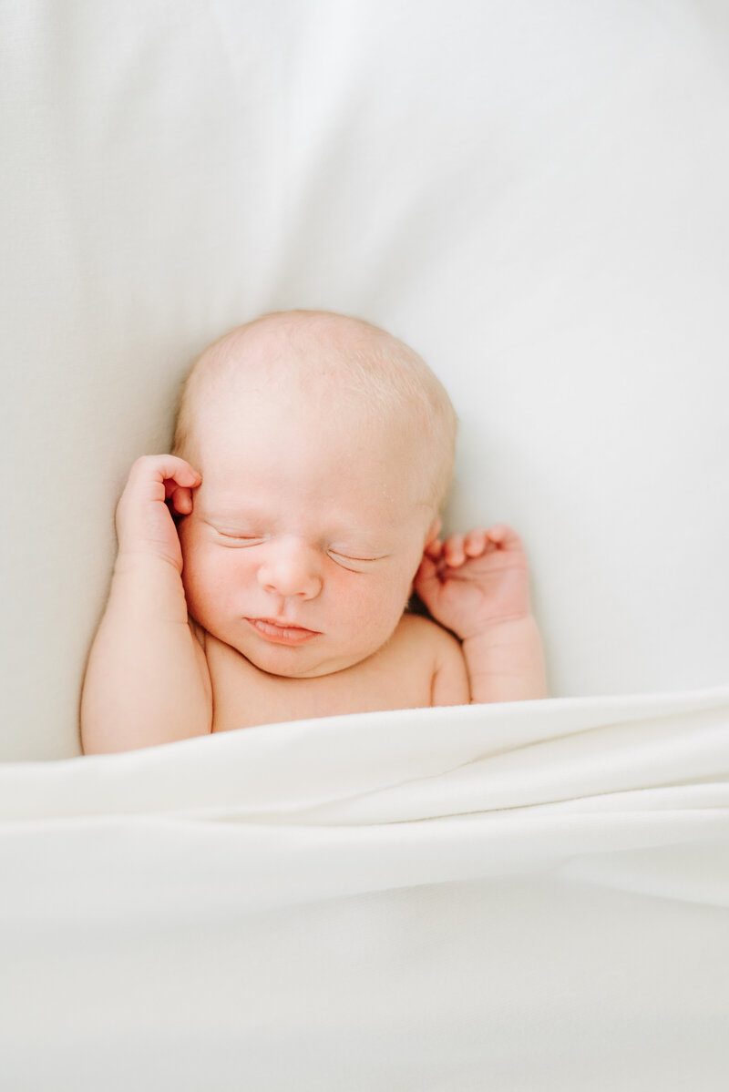 Brand new baby photographed on white under a blanket