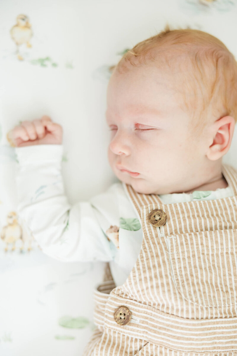 Rockhampton-Newborn-Photographer-47
