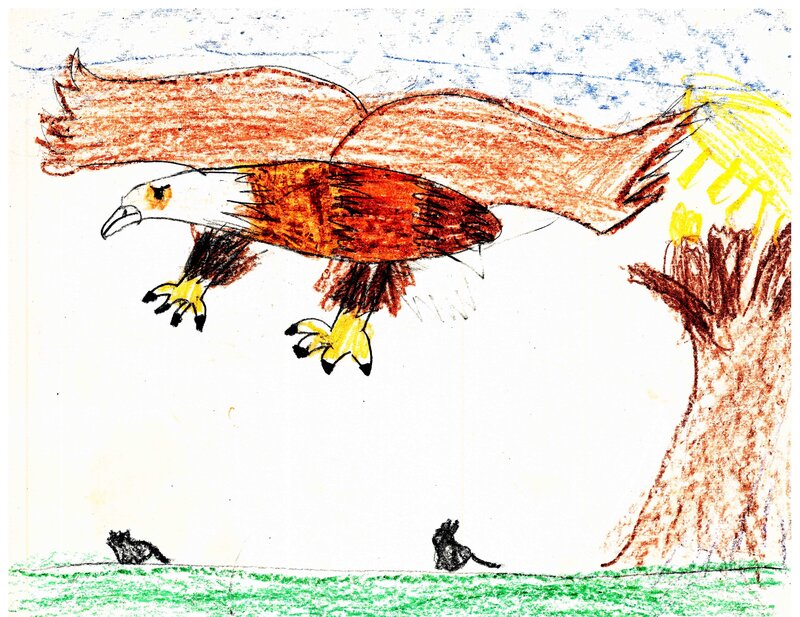 Brent Ray FraserBald Eagle Drawing