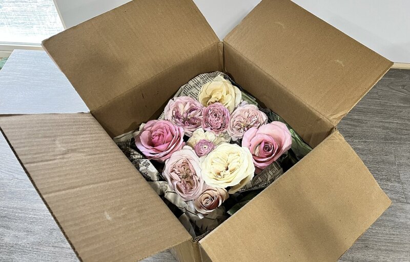 flowers dried and ready to ship to be preserved in resin