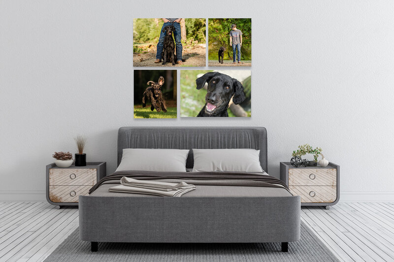 Nash Entryway LucyI Sticky-Pets-Mockup-Horizontal with canvas