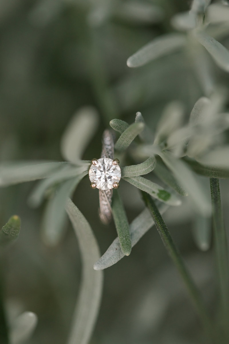 Jennifer B Photography-Sandhills Horticultural Gardens Engagement-Pinehurst NC-Cody and Kayla-2019-0237