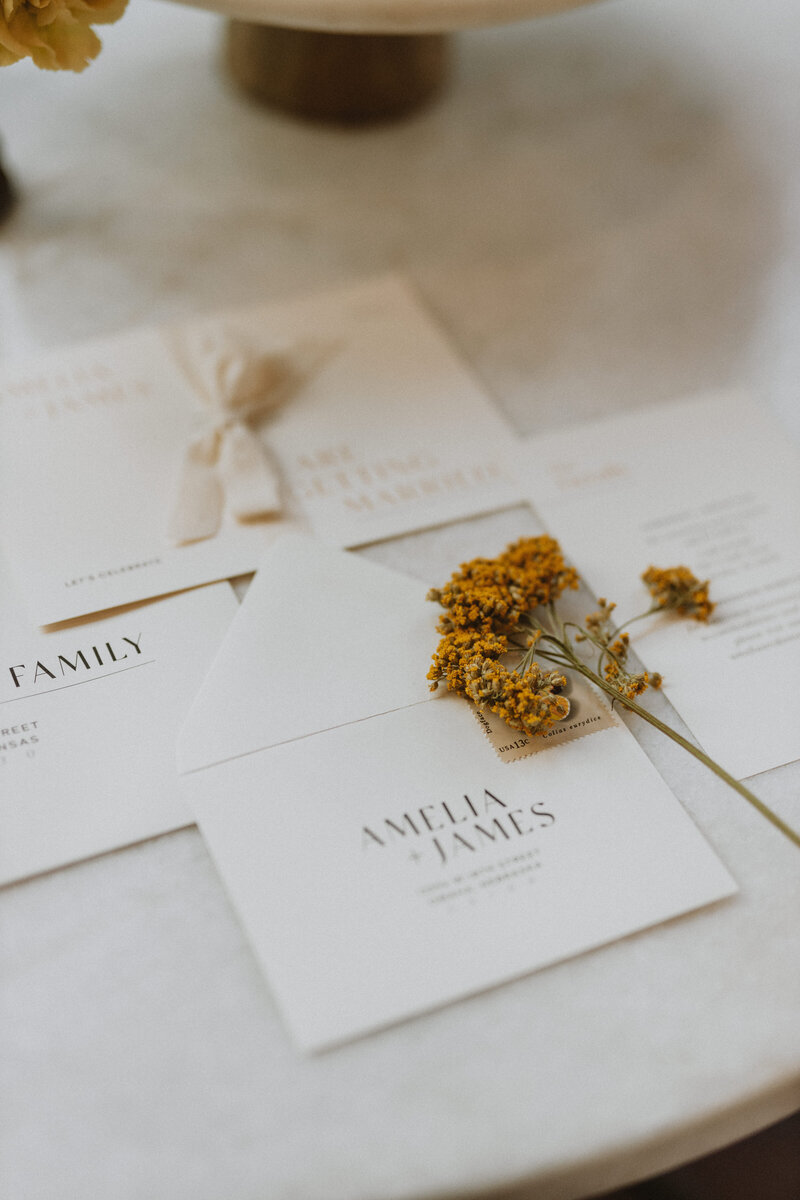 Elopement invite suite for couples who want to elope in Alaska