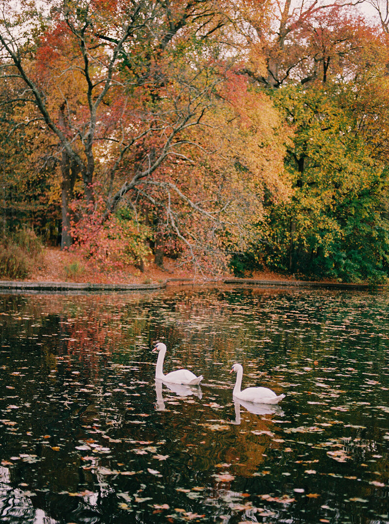 Brooklyn Prospect Park Boathouse - New York City - Stephanie Michelle Photography-01-5_websize