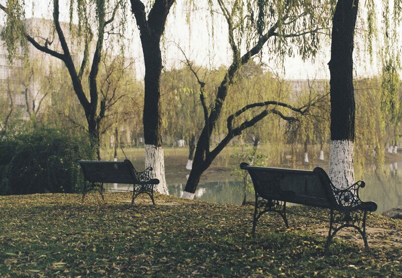 Peaceful trauma therapy setting in Philadelphia and NYC