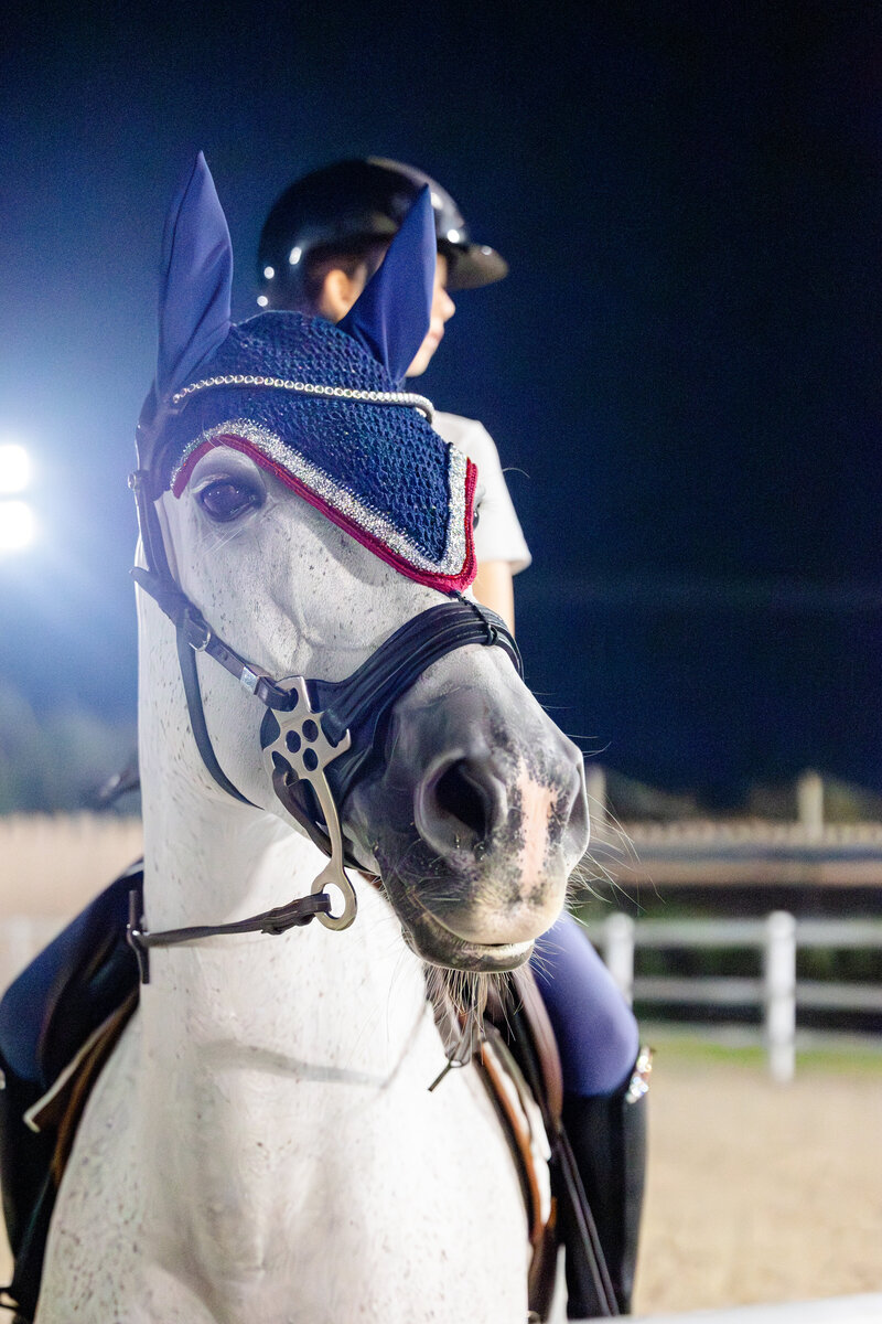 Buckskin horse with girl