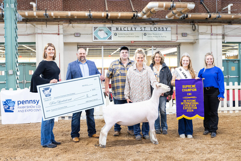 livestock photography