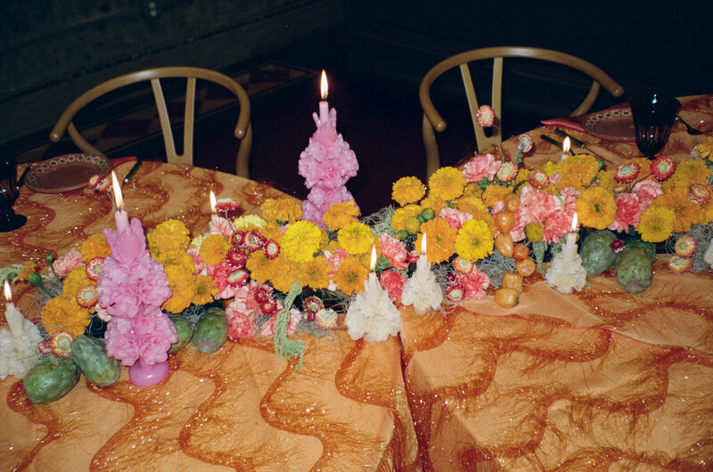 Wild Botanical Branding Film Photos by Nellie Bradford (15)