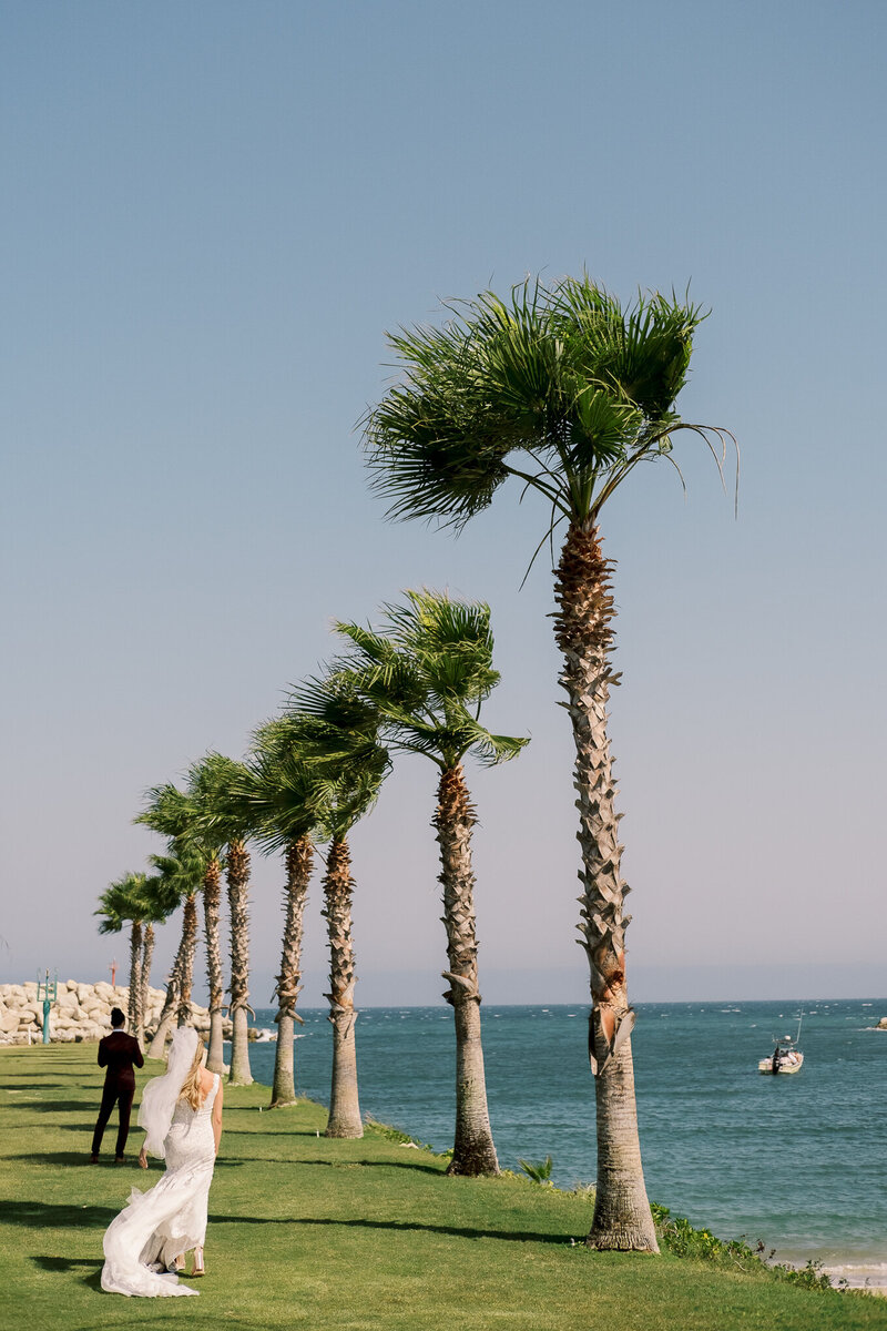 A perfectly blue sky behind the palm trees of Cabo Azul Resort in Los Cabos Mexico