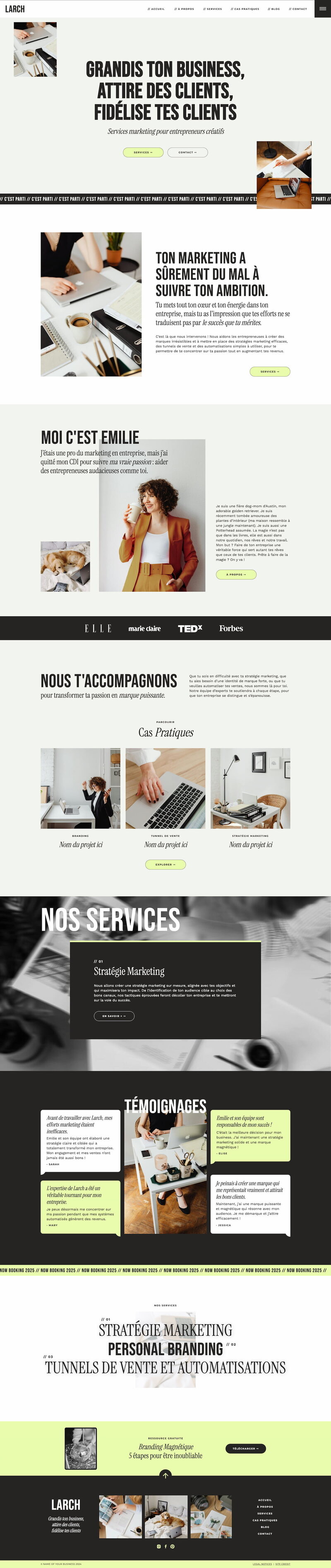 Capture d'écran du template de site Internet Showit Ash
