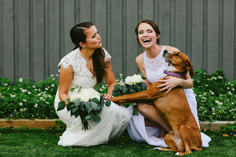 Brides-Elopement-With-Dog-South-Florida