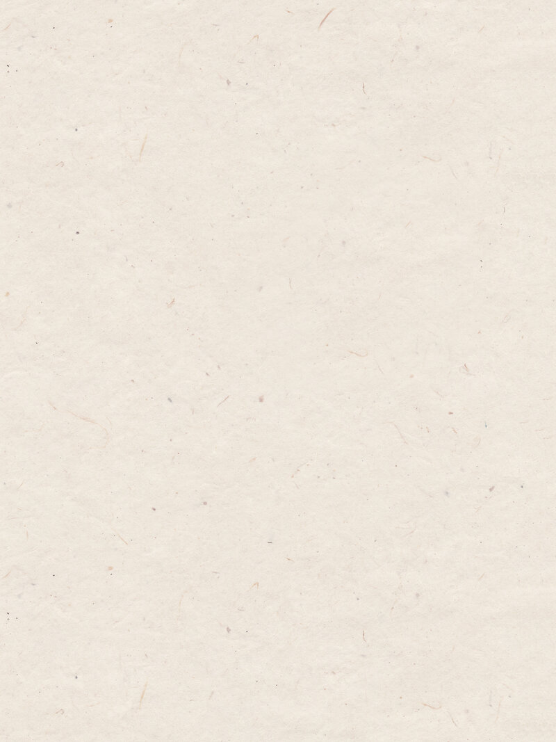 fibrous tan paper texture