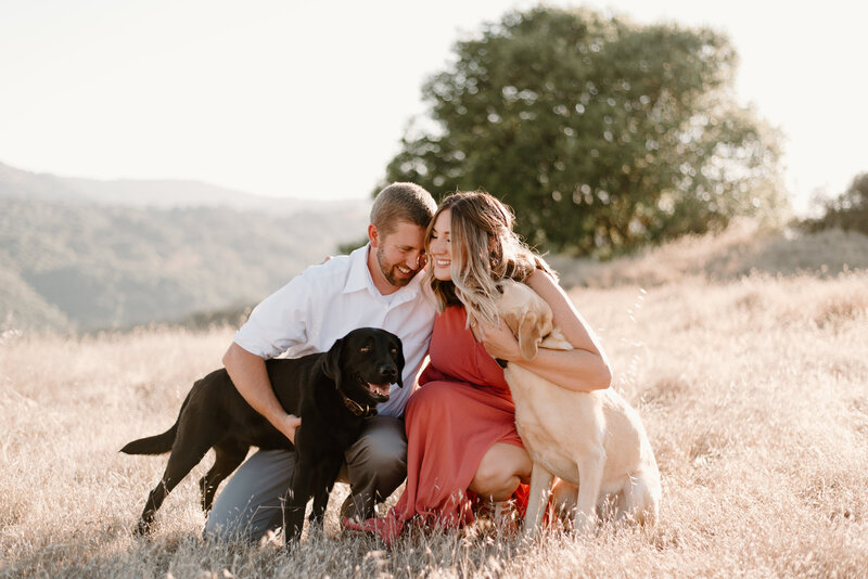 Amy Jordan of Amy Jordan Photography with husband and two dogs in Northern California field with large tree in background.