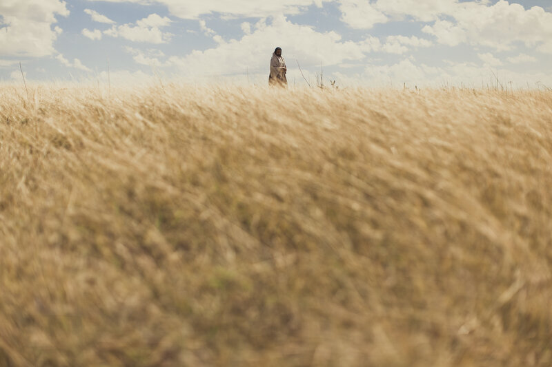 lightstock_ff_07
