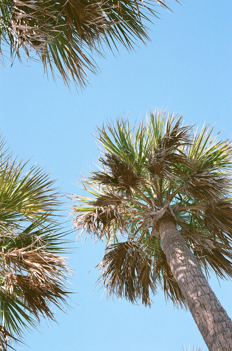 KIMGOPHOTOGRAPHYFILM_0002