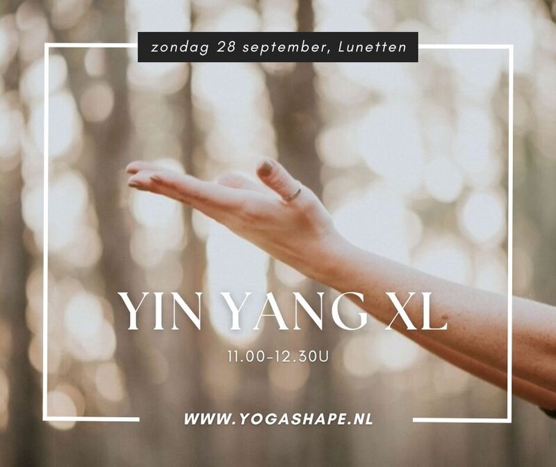 YogaShape - Yin Yang XL - zonder QR