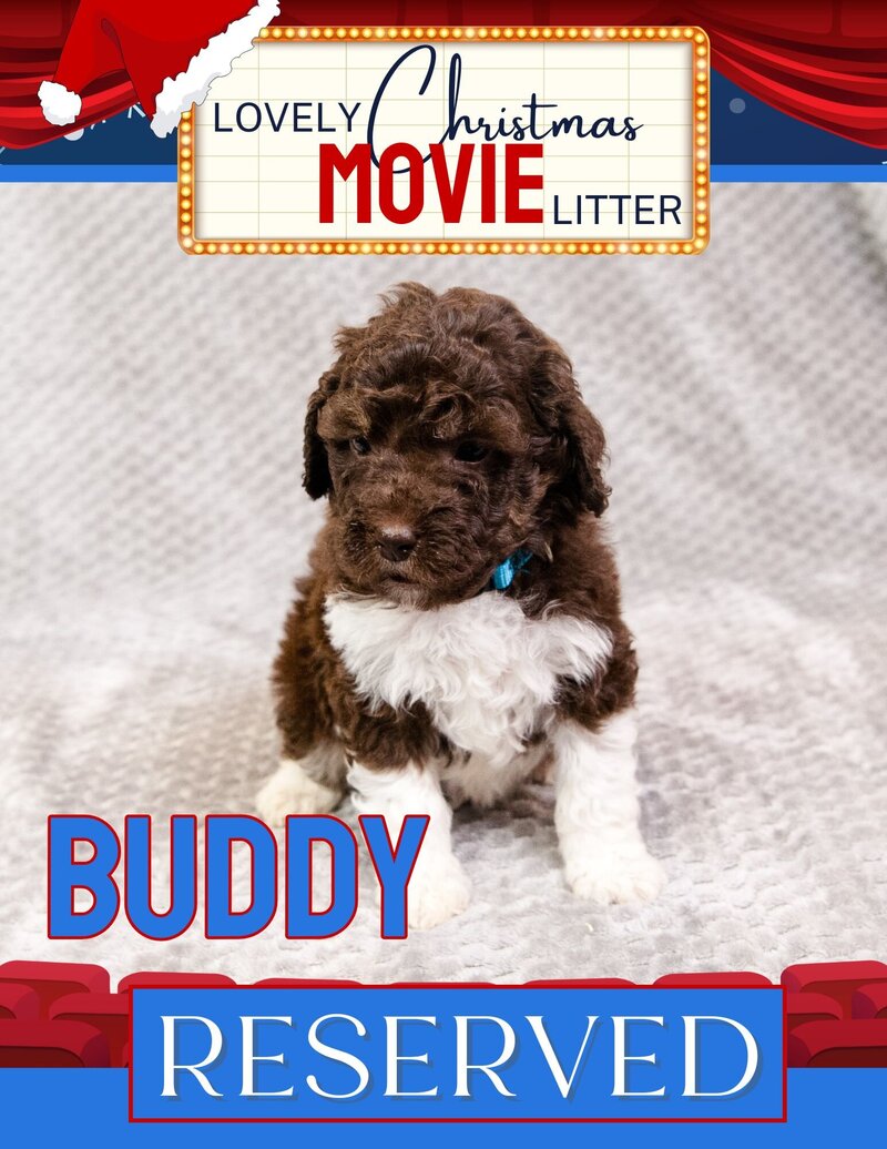 Christmas Movie - Dark Blue Buddy Male
