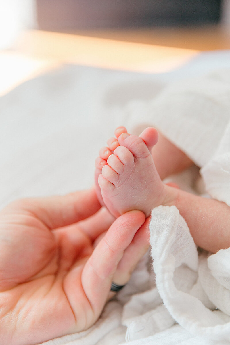 LL-HERMAN-NEWBORN-SESSION-5